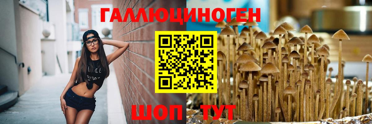 Галлюциногенные грибы Magic Shrooms  Вход с VPN  Городец 